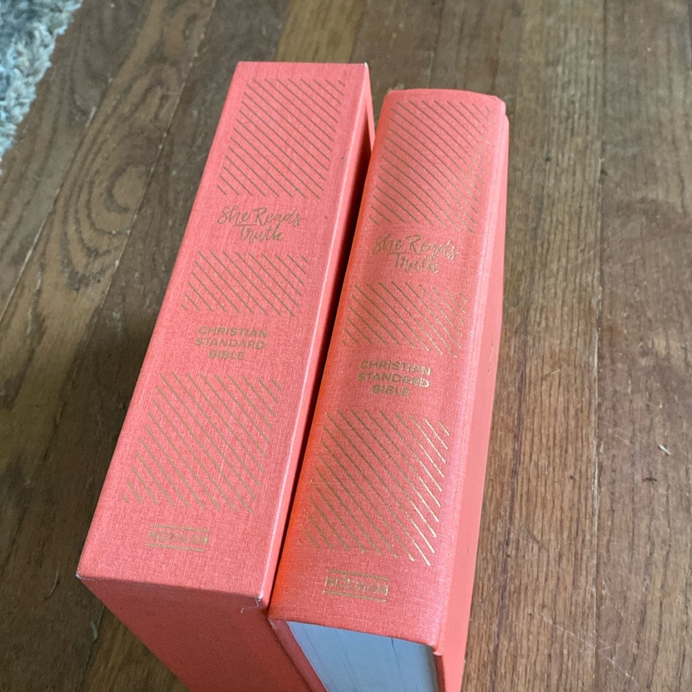 She Reads Truth Bible - Pink